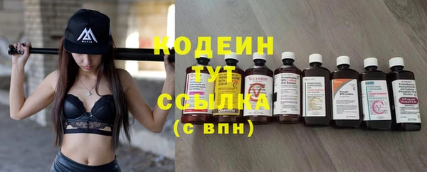 эйфоретик Арсеньев