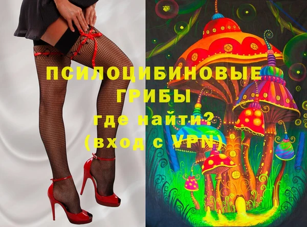 эйфоретик Арсеньев