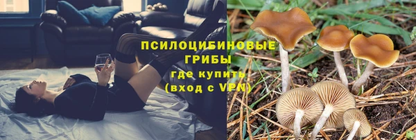эйфоретик Арсеньев
