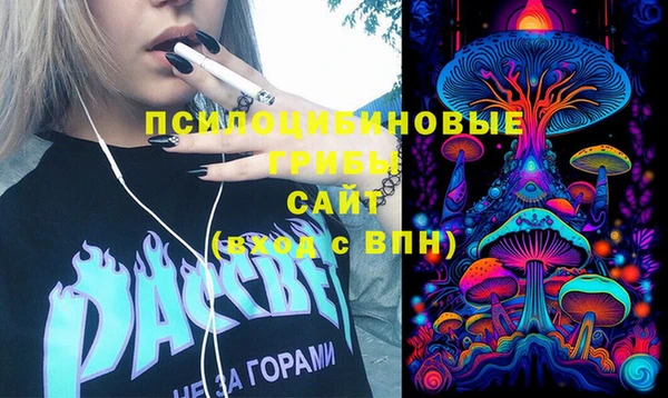 тгк Аркадак