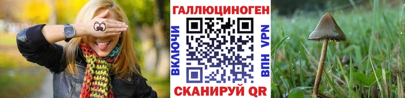 площадка Telegram купить наркотик Сатка Галлюциногенные грибы Psilocybine cubensis