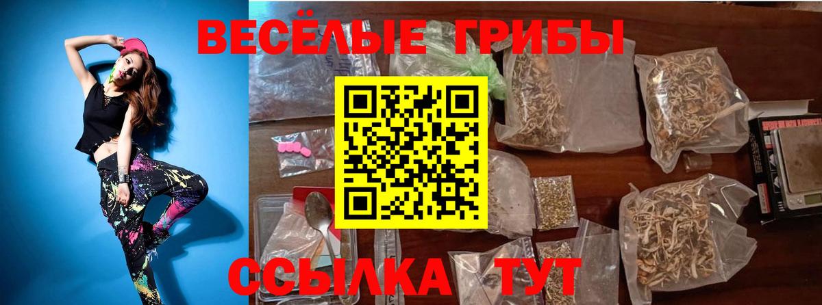 Сатка  Псилоцибиновые грибы Psilocybine cubensis  Вход с VPN 